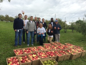Volunteers with apples harvested for MN food shelves